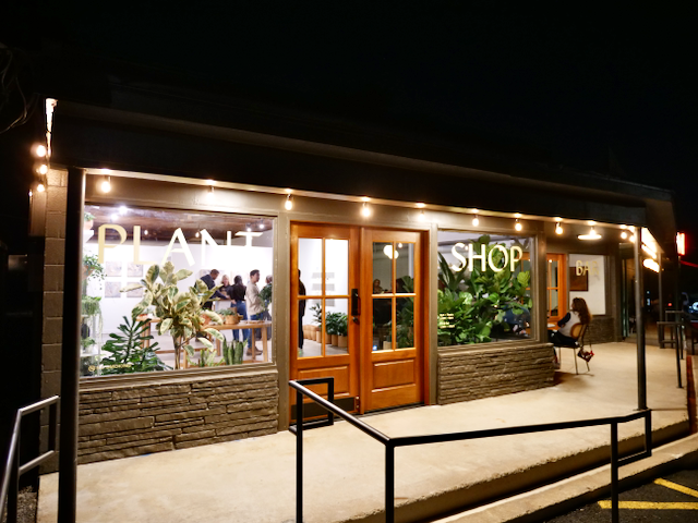 Flourish Plant Shop & Wine Bar