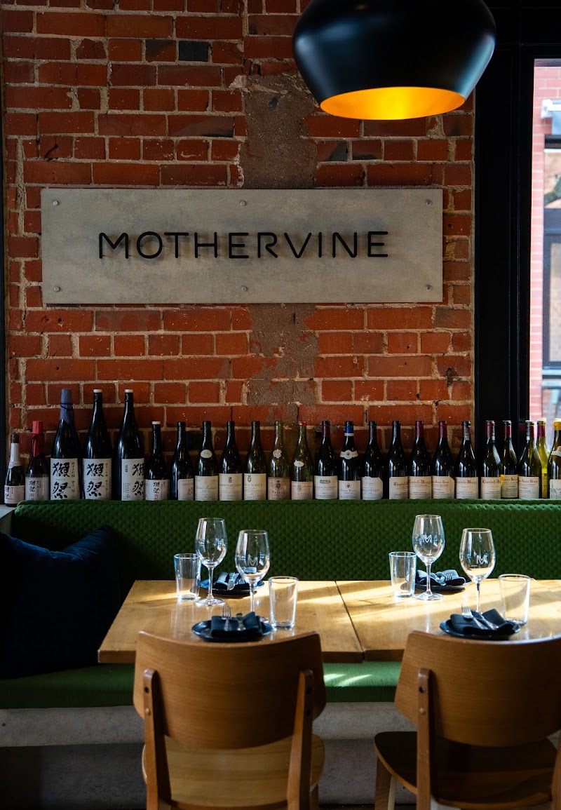 Mother Vine